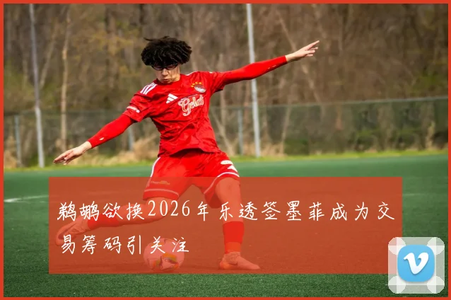 鹈鹕欲换2026年乐透签墨菲成为交易筹码引关注